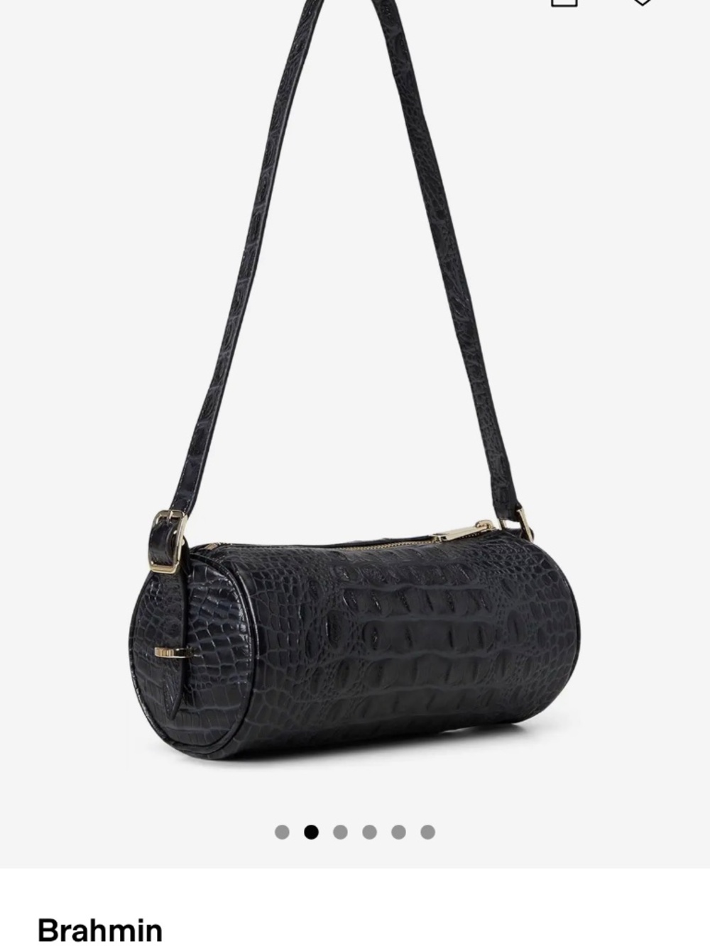 Brahmin - Picture 5 of 7